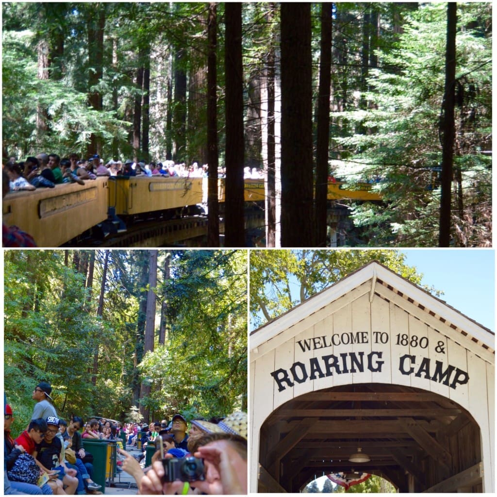 roaring camp roaring camp